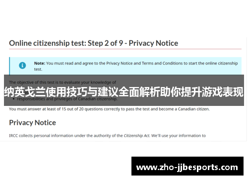 纳英戈兰使用技巧与建议全面解析助你提升游戏表现