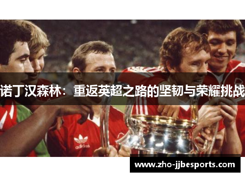 诺丁汉森林：重返英超之路的坚韧与荣耀挑战