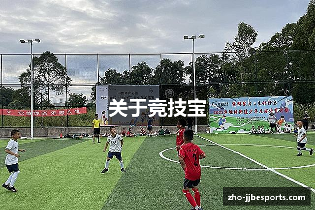 关于竞技宝